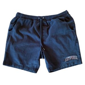 Artform Skateboard Shorts